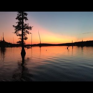 Meet your Posher, Adeleida